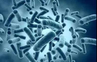 公共场所卫生检测中哪些细菌是会致病的？